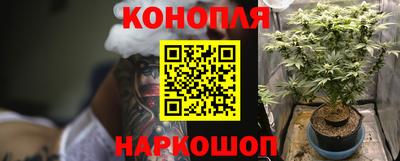 ешки Кингисепп