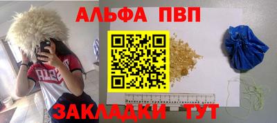ешки Кингисепп