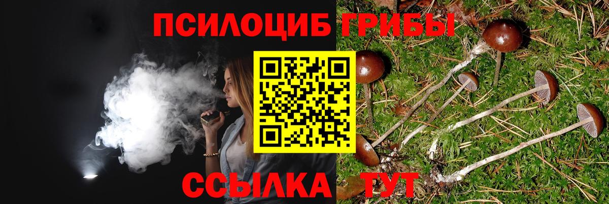 Троицк  Псилоцибиновые грибы MAGIC MUSHROOMS  Вход с VPN 